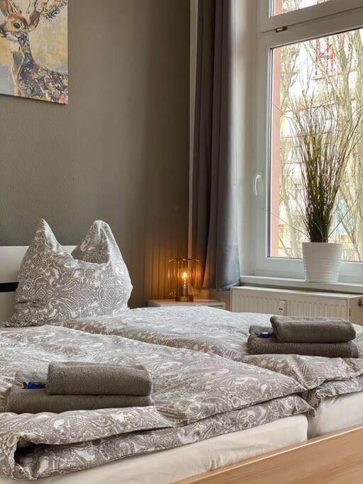Appartement Akk4 - Md Zentrum Naehe Uni Und Hbf *
